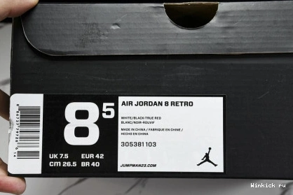 Jordan Retro Bunny 8 Bugs 0823